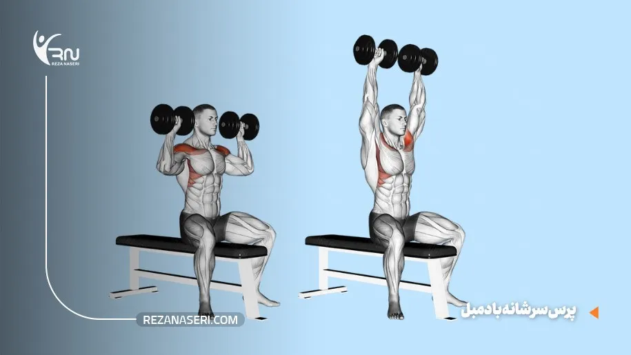 پرس سرشانه برای تقویت عضلات شانه و گردن